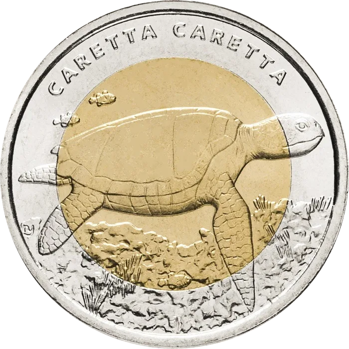 Caretta Caretta